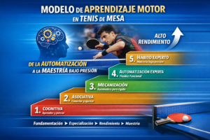 escalones de aprendizaje